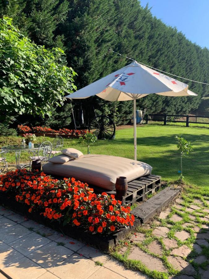 Agroturismo Anziola Villa Oiartzun Bagian luar foto