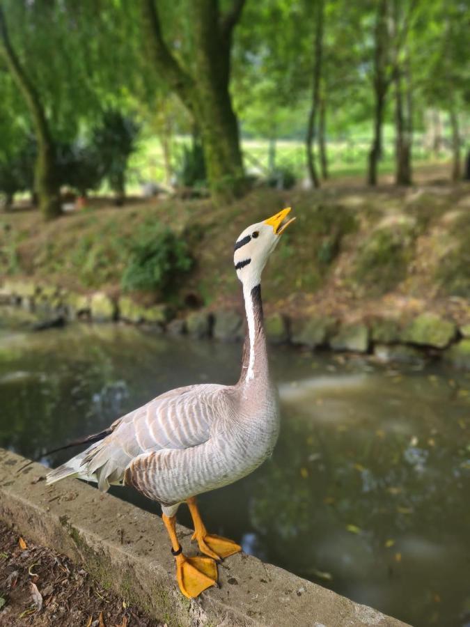 Agroturismo Anziola Villa Oiartzun Bagian luar foto