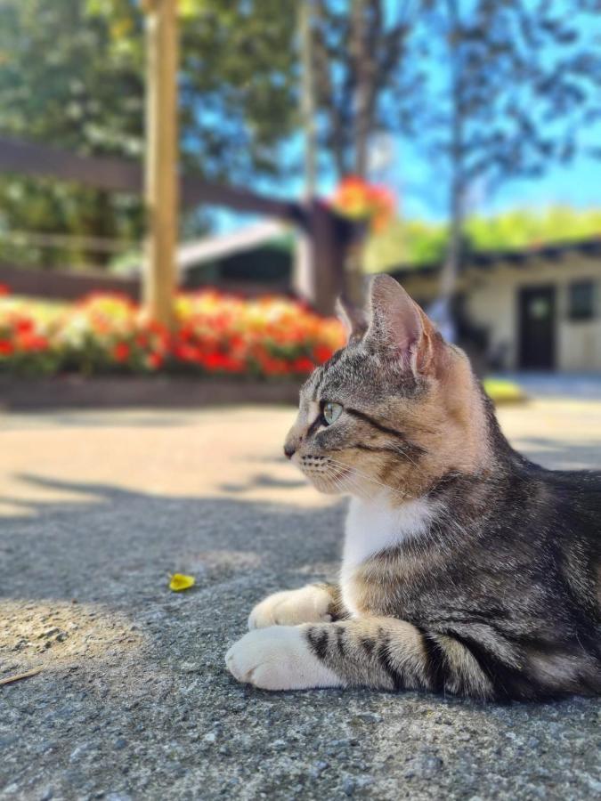 Agroturismo Anziola Villa Oiartzun Bagian luar foto